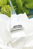 Dainty Cremation Channel Ring, Stainless Steel Ring With Ashes