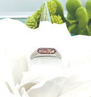 Rose Gold Stainless Steel Channel Cremation Ring, Memorial Ring For Ashes